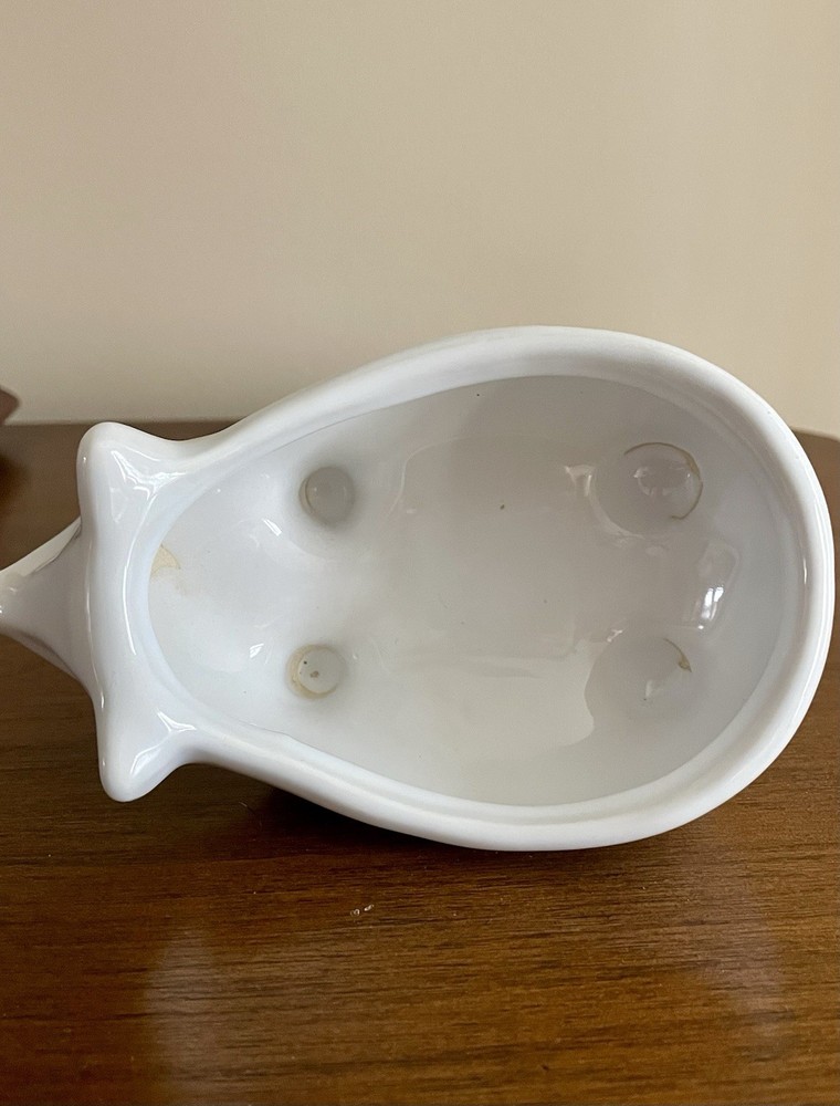 Ceramic White Pig Mug Face Planter Succulent