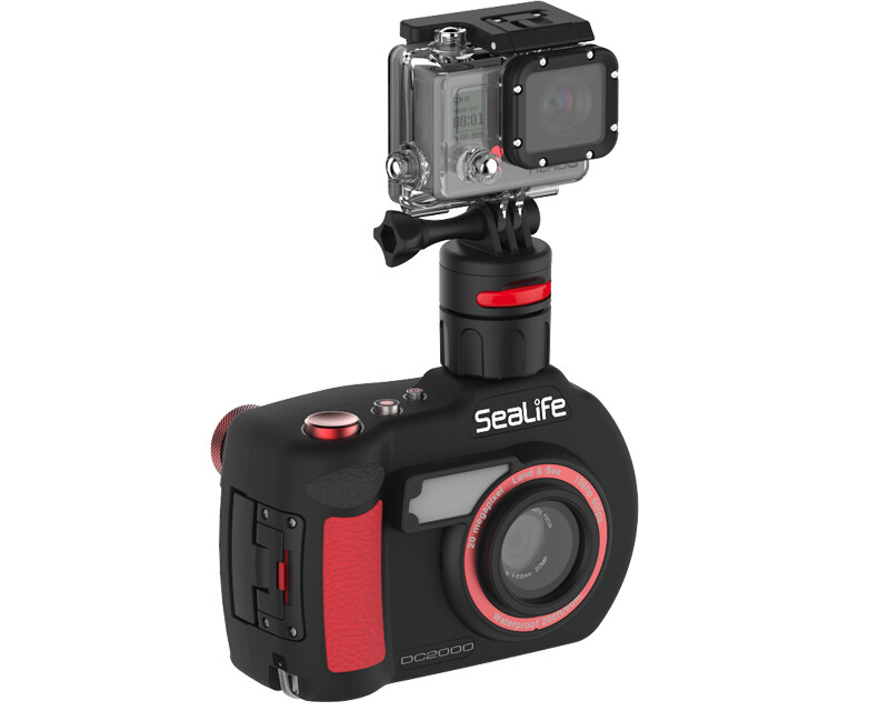 SeaLife Flex-Connect Cold Shoe Mount