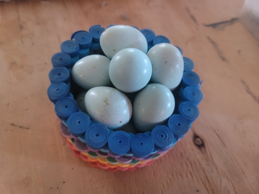 12++ CELADON Quail Hatching Eggs, High Hatching Rate