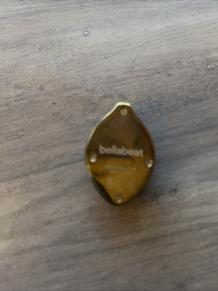 bellabeat leaf