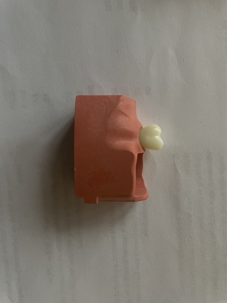 ACADENTAL ENDO Upper Anterior Module( M200)