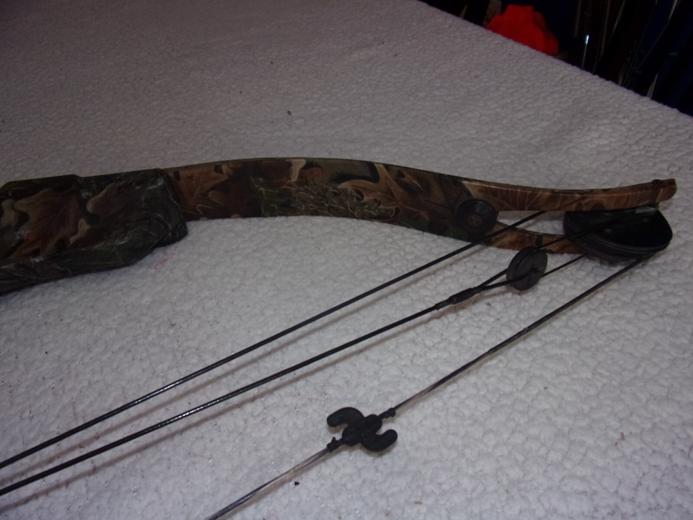 Golden Eagle Falcon Flame Compound Bow
