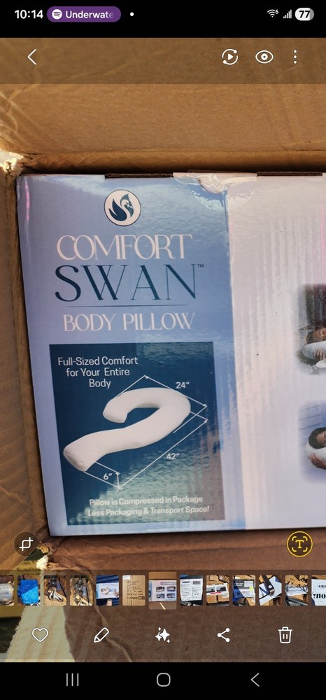2 Pack Comfort Swan Pillows