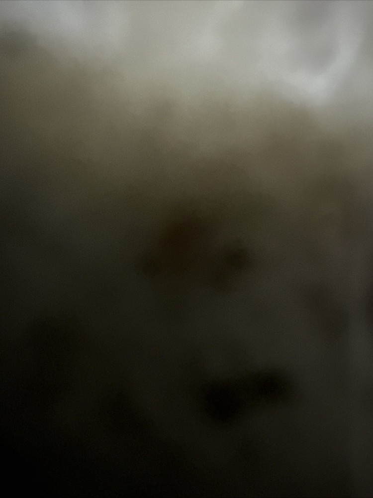 iR-TEC Trans Dual-Tech Occupancy Sensor Model BDS-600SS Mount S