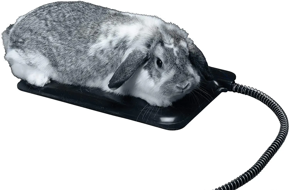 API Extra Small Plastic Heated Pet Mat for Pets 9"x 12"