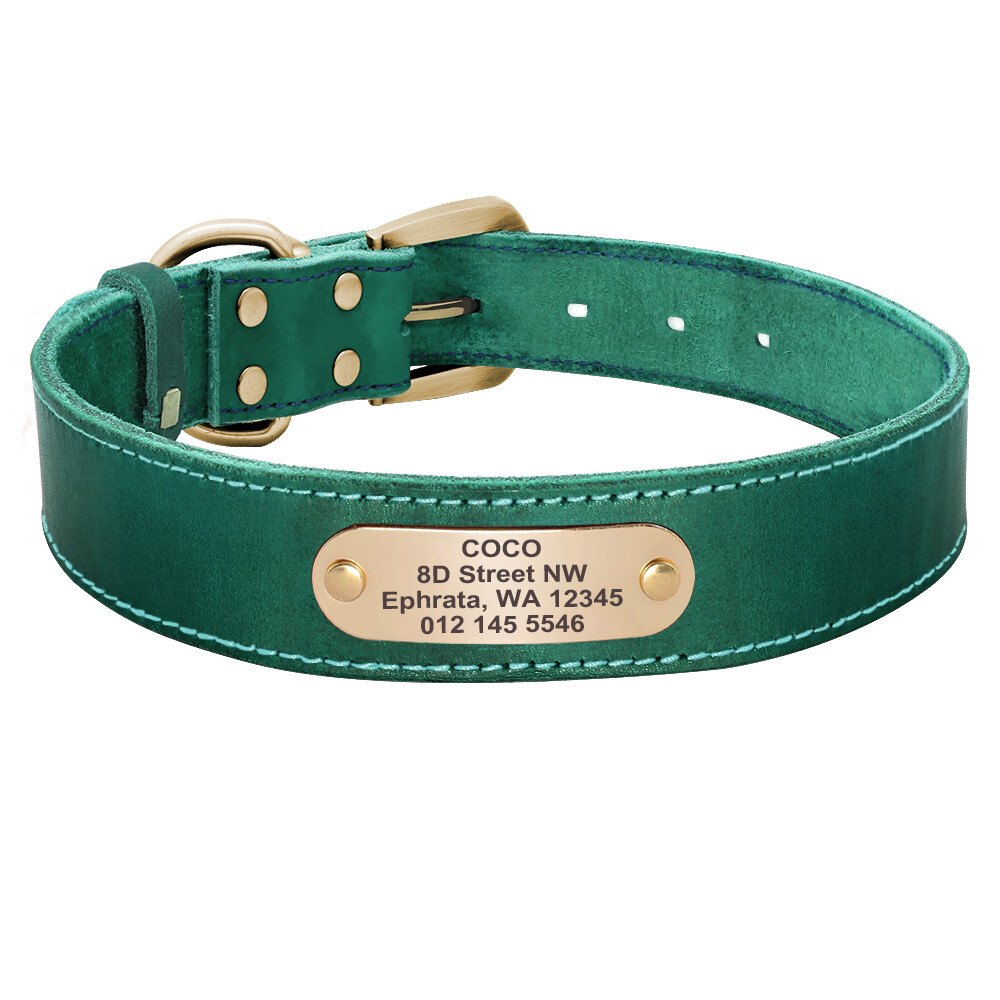Custom Dog Collar Real Leather Personalized Brass Name Plate Small Medium Large
