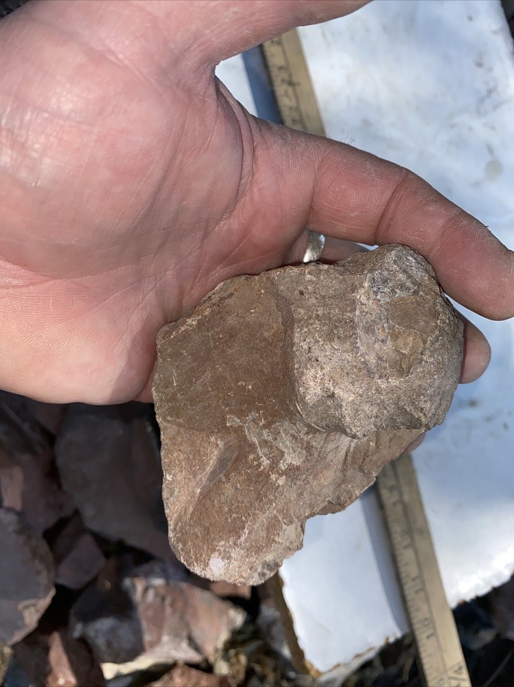 Structural dinosaur bone