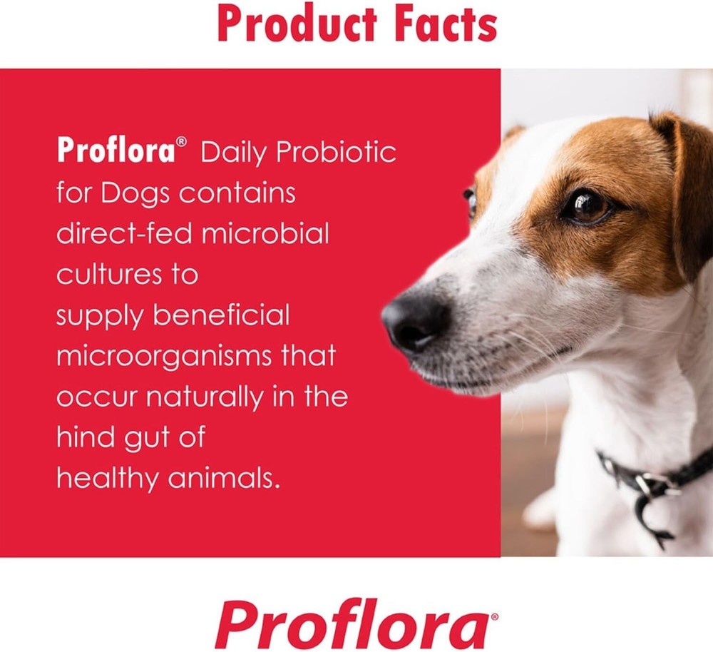 Proflora Probiotic Soft Chews for Dogs (60 Count)