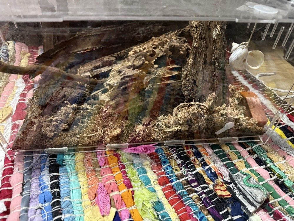 4 Gallon Acrylic Tank 9x16x7