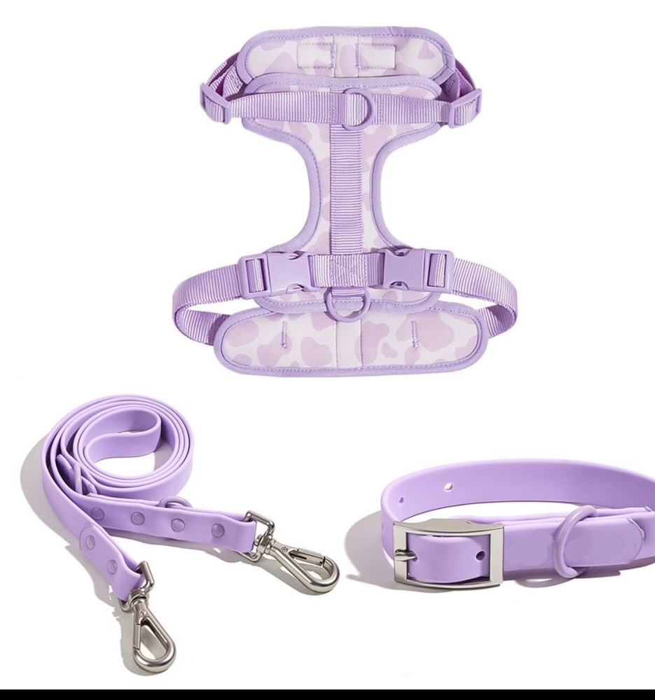 pet traction rope set