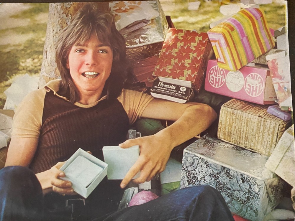 David Cassidy, Full Page Vintage Pinup, aa