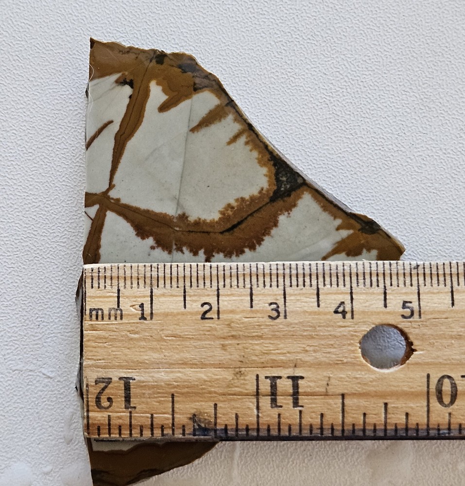 Owyhee Jasper Lapidary Slab 28 Grams