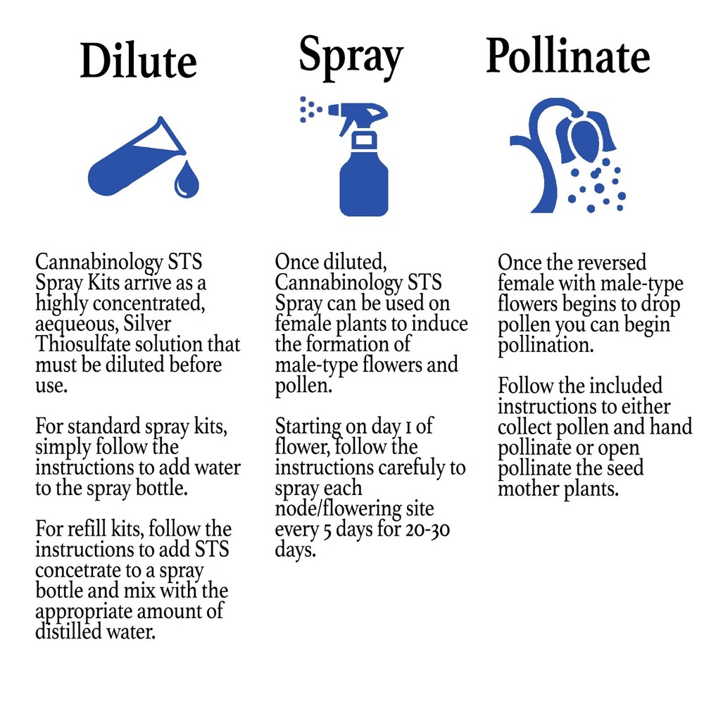 STS(Silver Thiosulfate) Solution, makes 1 Gallon feminized seed spray