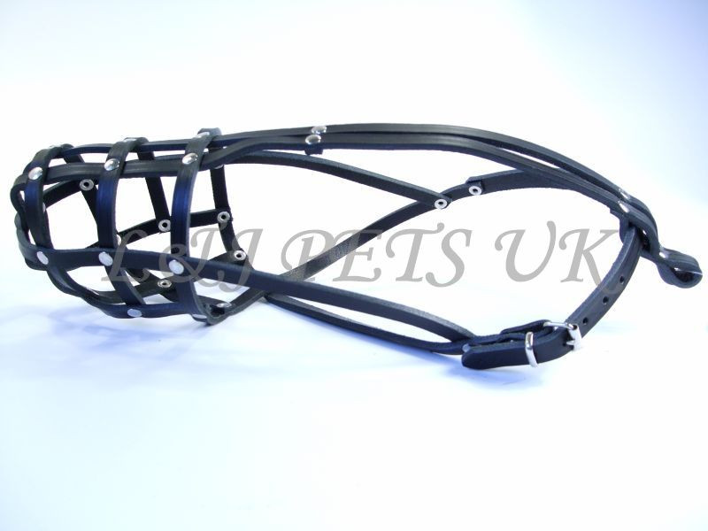 Light Leather dog Muzzle Collie & Other similar snouts