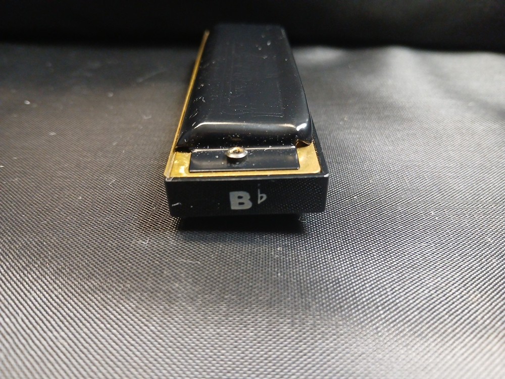 Hohner Pro Harp MS Bb Harmonica Germany 10 Hole Diatonic Black