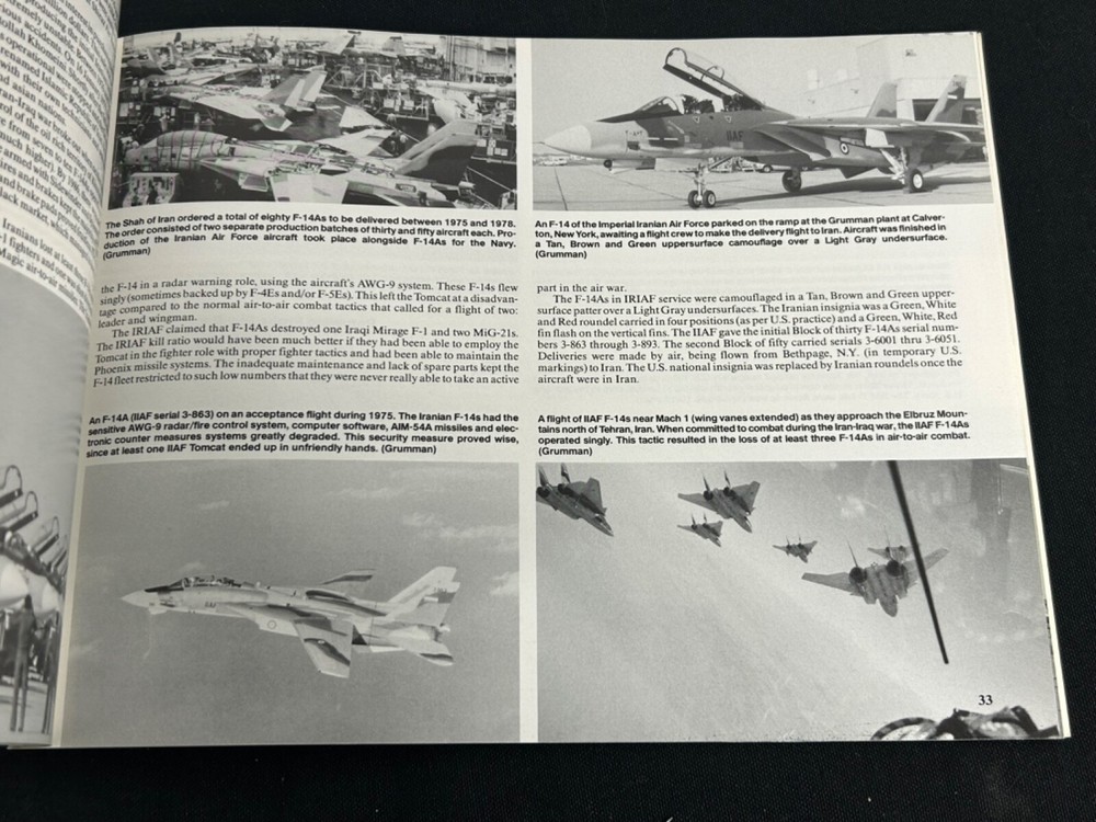 F-14 Tomcat In Action Book