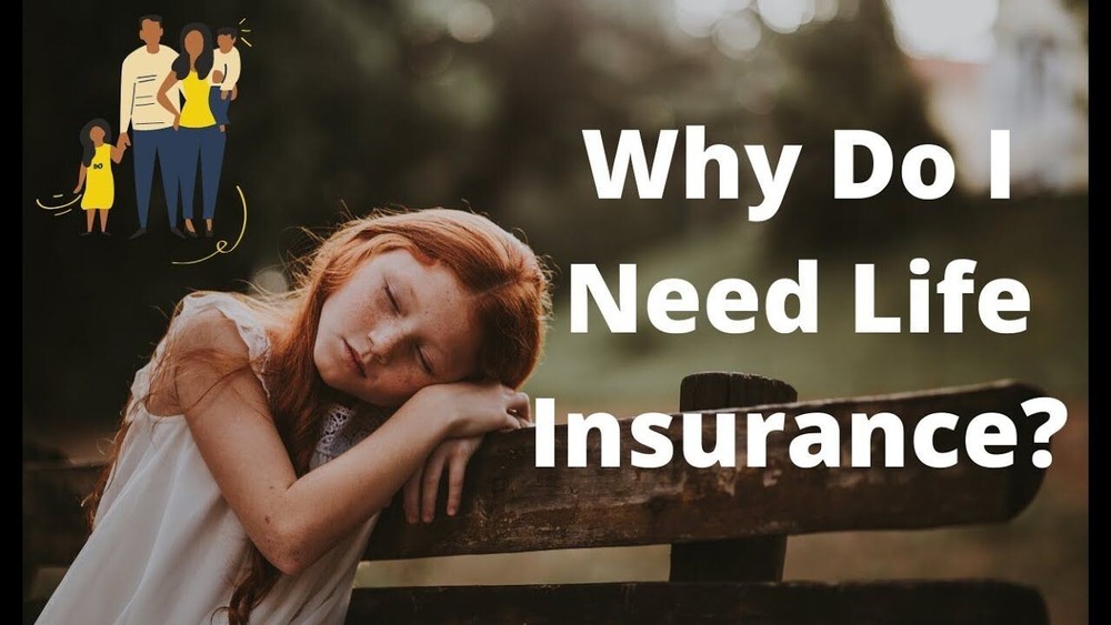 Domain Name -lifeinsuranceblog.us