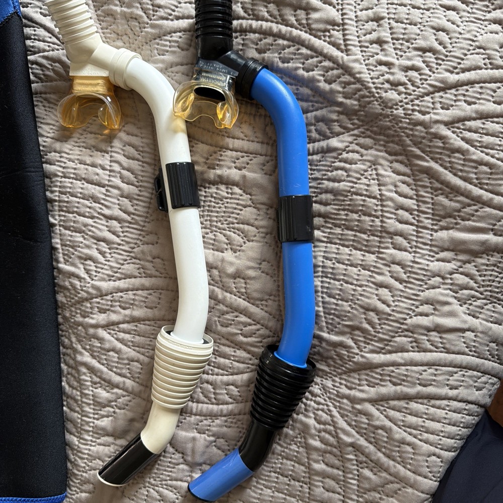 Snorkeling & Scuba equipment.