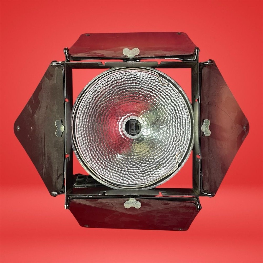 Lowel DP Professional Studio Light with Adjustable Barn Doors No Bulb