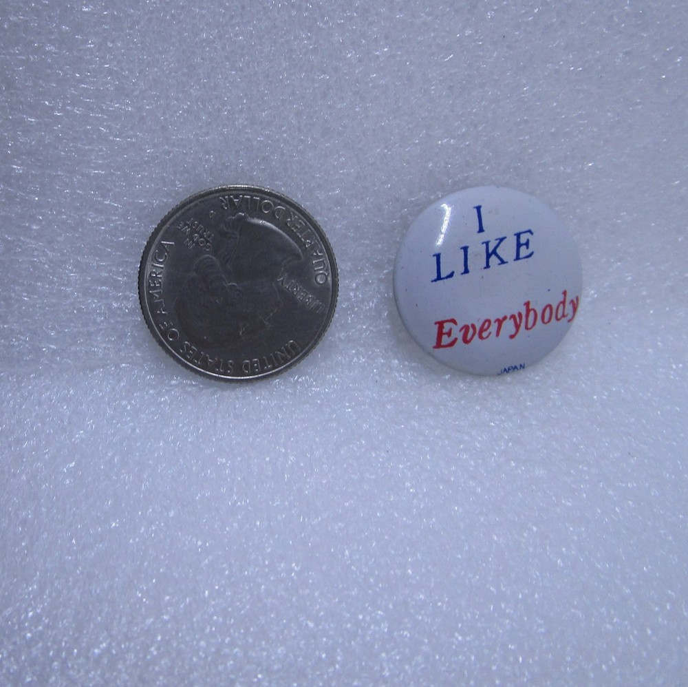 I Live Everybody Button Pin