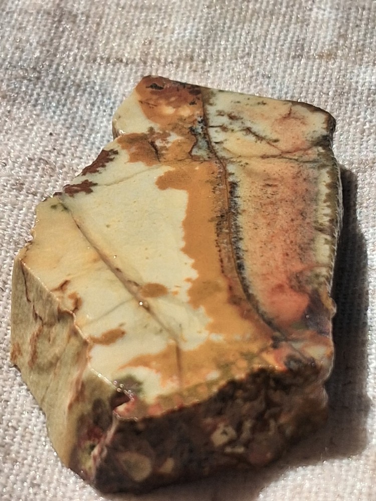 Death Valley Indian Paint Cab Ready For Lapidary