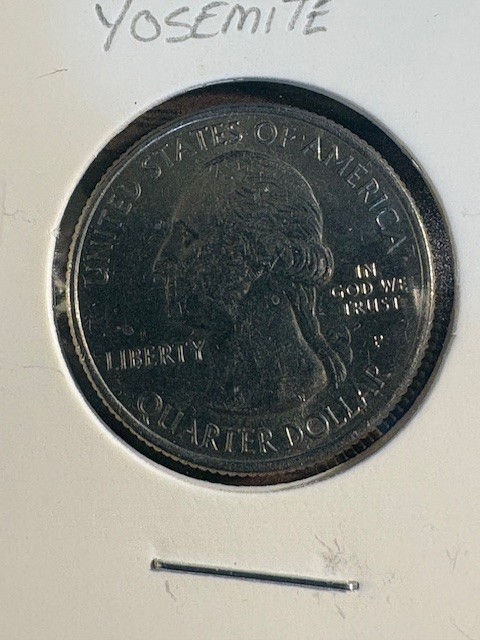 2010 P Yosemite Quarter