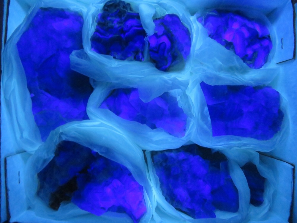 9 Pc Fluorescent Fluorite Specimen Flat Rodeo Durango Mexico