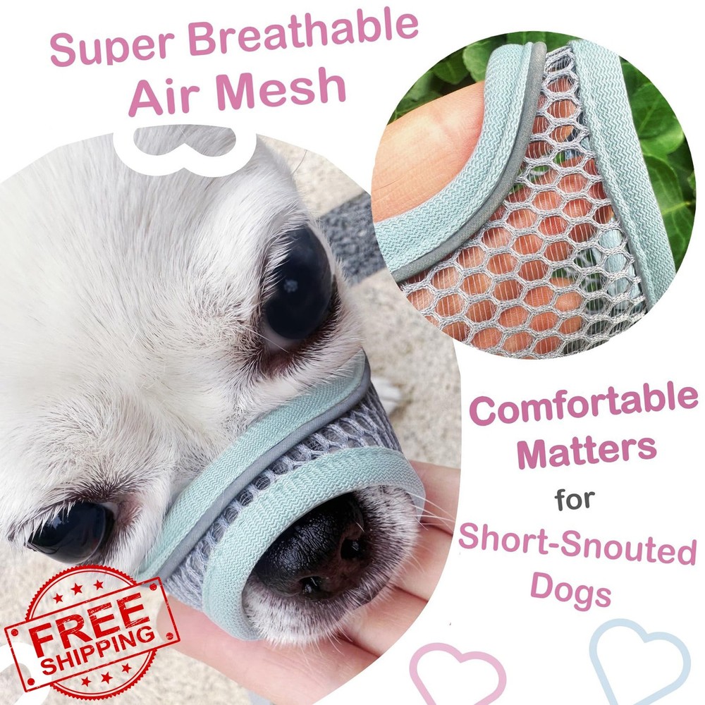 Mint Blue M Dog Muzzle for Small Medium Short Snout Dogs