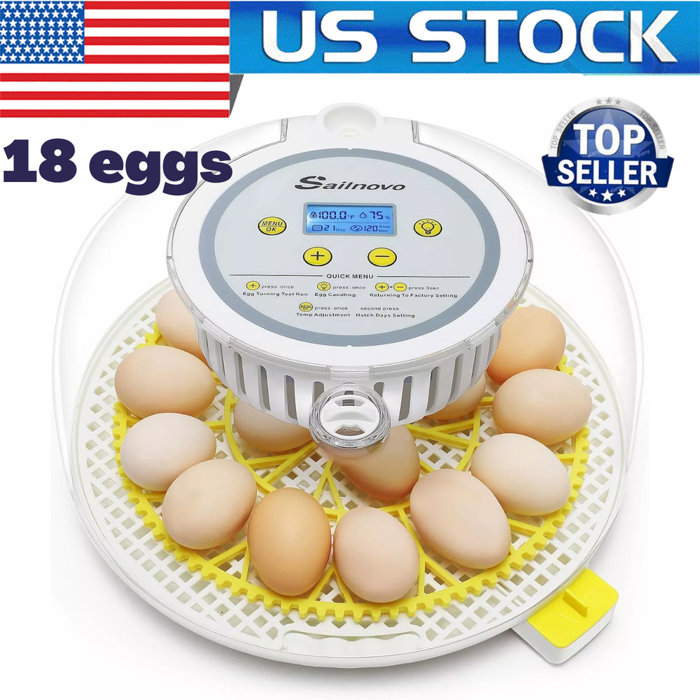 18 Egg Poultry Incubator for Hatching Chick Automatic Turning Egg Incubator