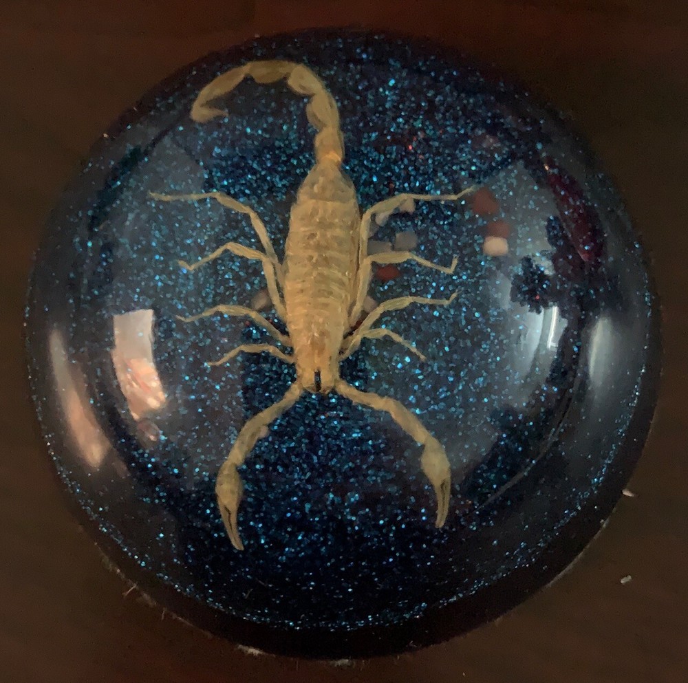 Scorpion Paper Weight Acrylic