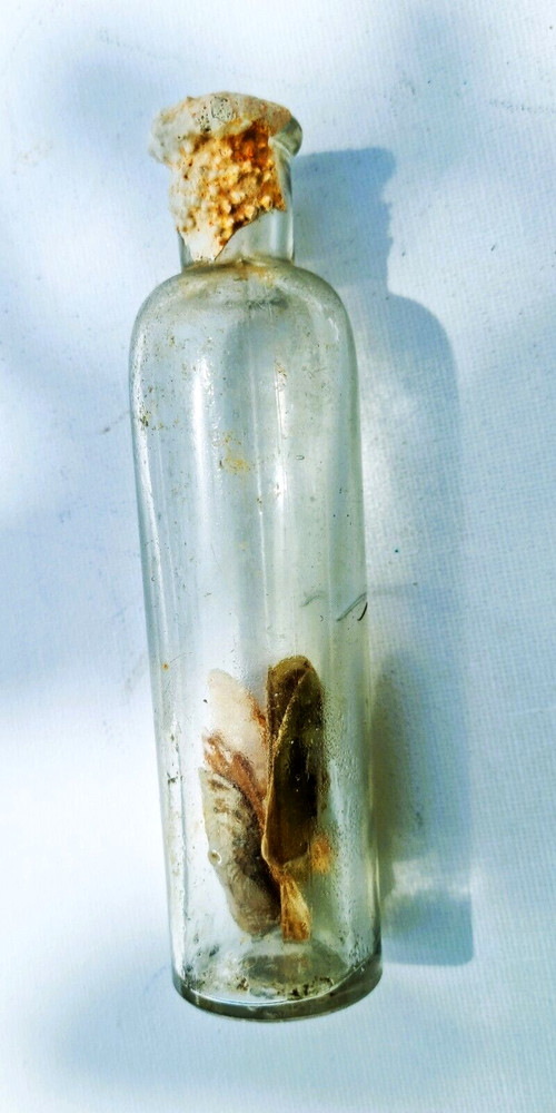 Vintage Unique Glass Bottle With Shells