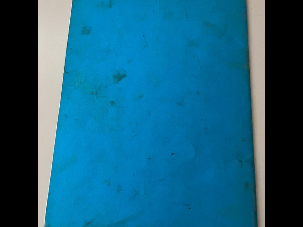 Bally Ms America Supreme Bingo Manual