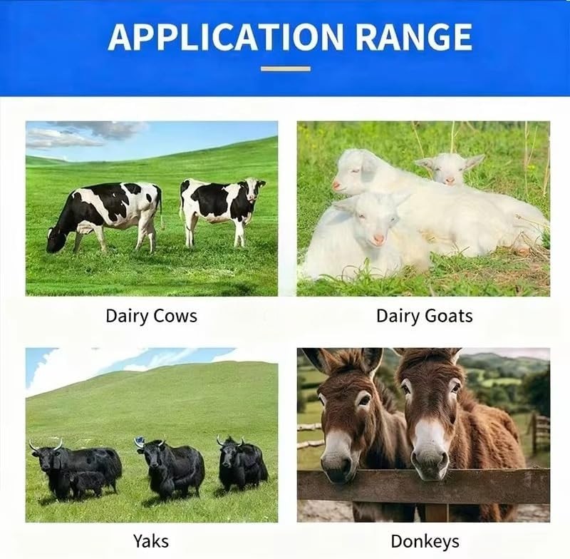 Milk Boiler Pasteurizer Digital Pasteurizer Machine for Dairy & Food Processing