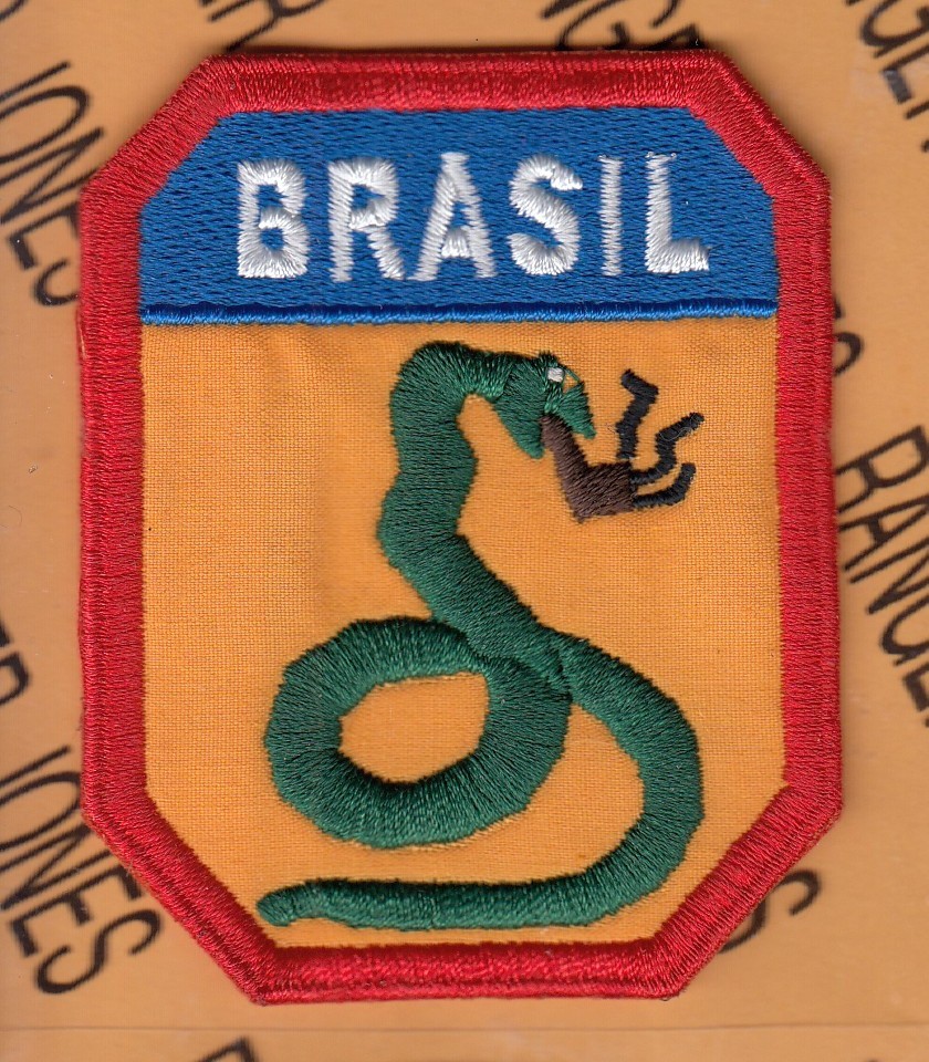 US Army Expeditionary Forces BRASIL Command ~2.75" patch c/e