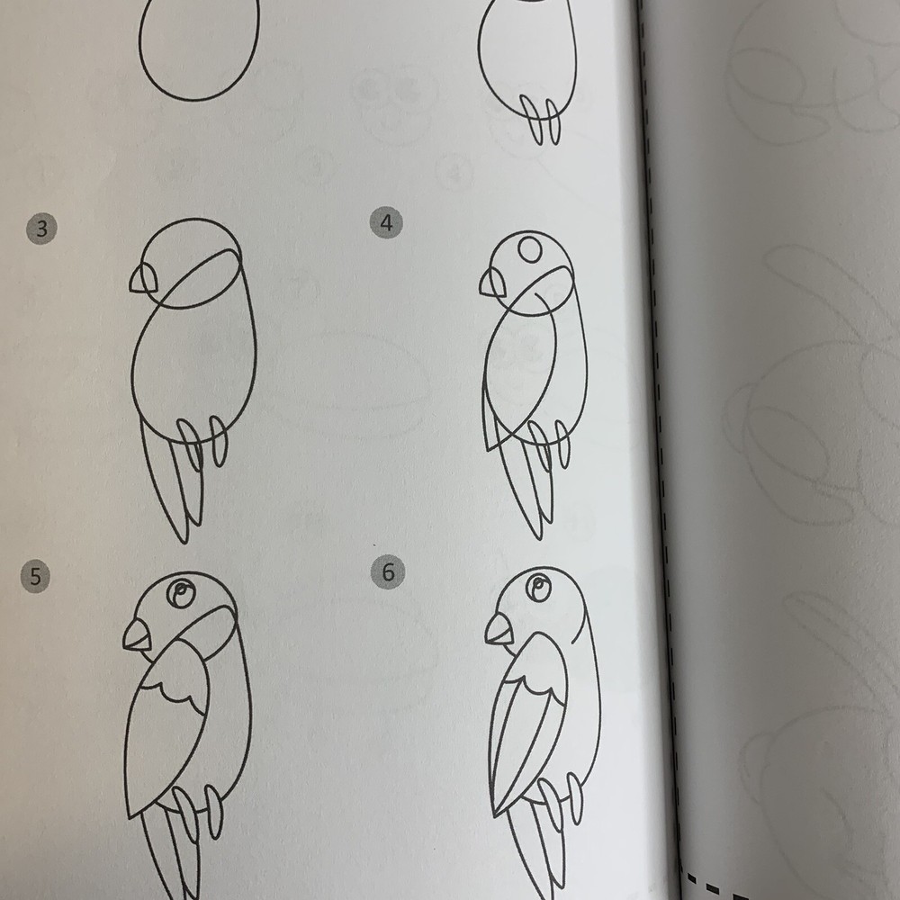 How To Draw Animals Dylan’s Press School Learning Home School Drawing Etching