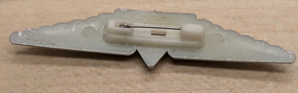 DELTA AIRLINES Wings Plastic Pinback