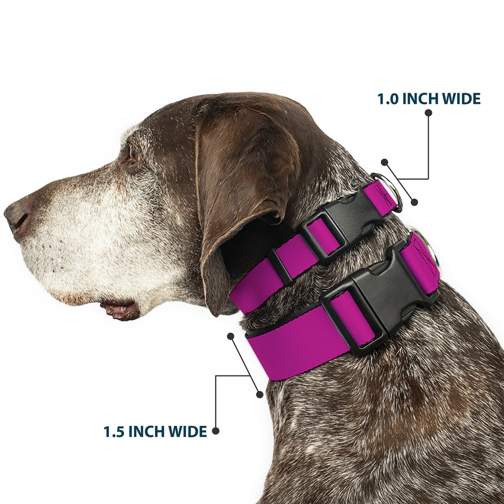 Plastic Clip Collar Fuchsia Medium 11-16.5"