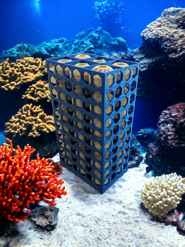 3D Printed Holder for Maxspect Nano Tech Bio Spheres V2
