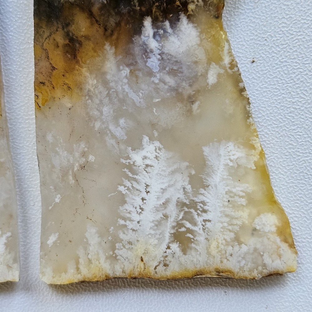 Nice Graveyard Plume Agate Lapidary Slabs 76 Grams