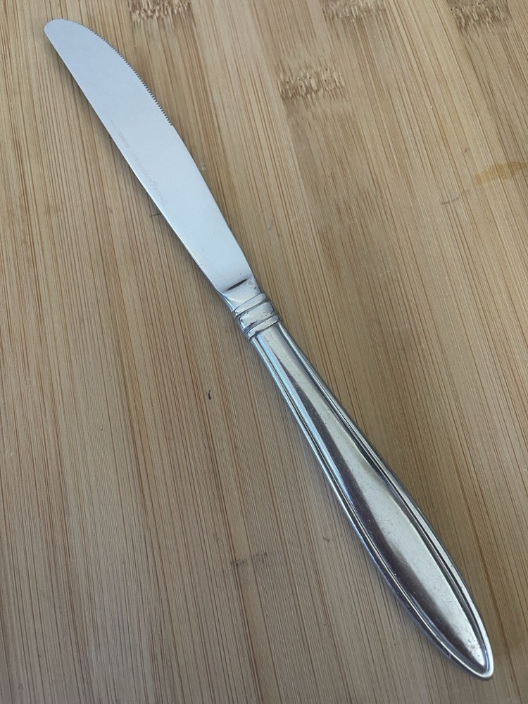 Reed & Barton Select Stainless CELEBRATION Outlined Pointed Tip DINNER KNIFE 9”