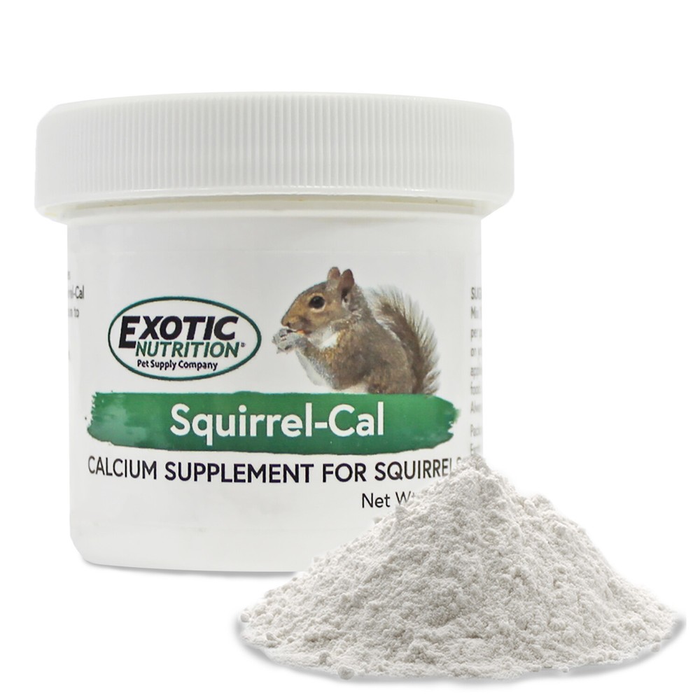 Squirrel Food Starter Package
