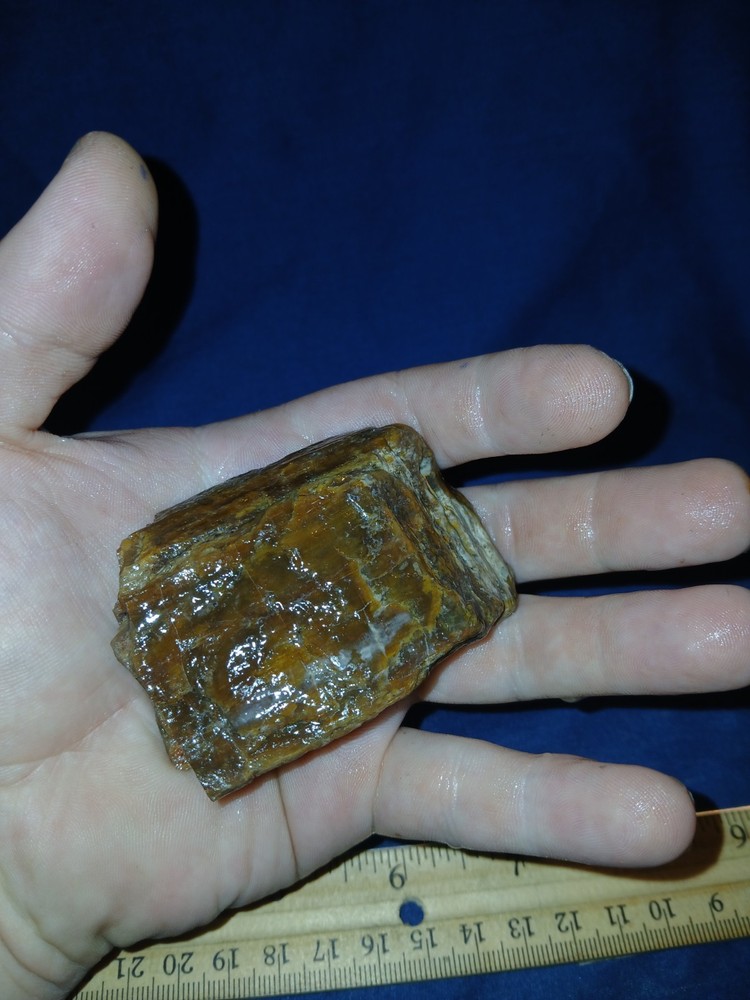 4.5 oz Agatized Petrified Wood