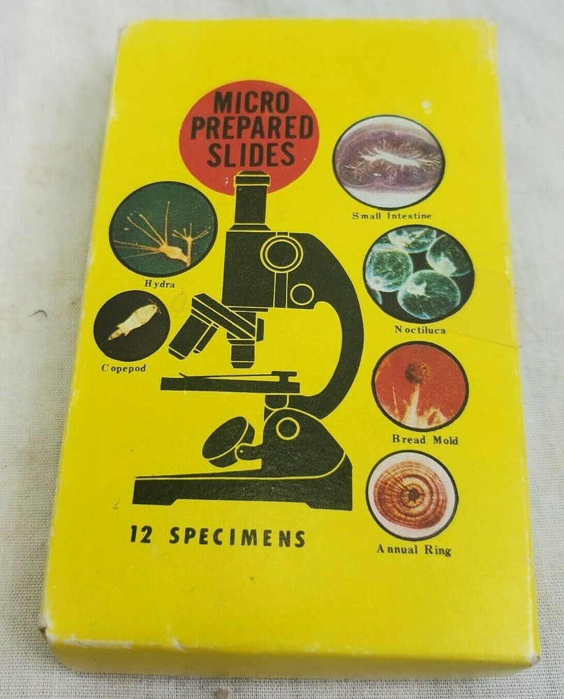 VTG Micro Prepared Slides Japan 14 Specimens  Wings, legs, Antenna and other