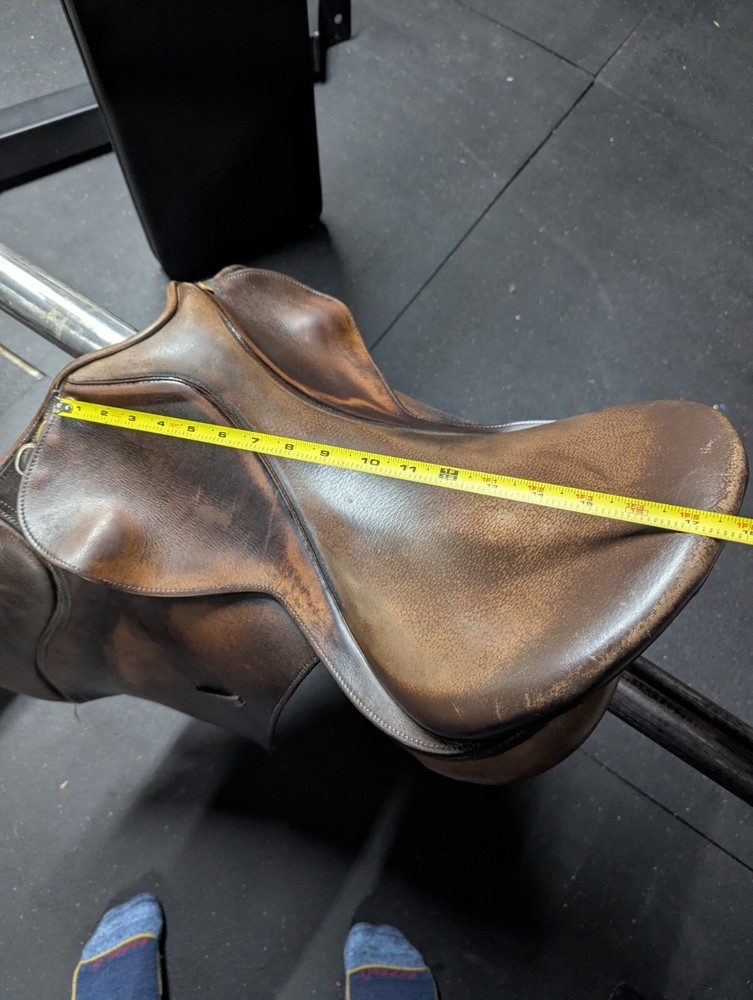 Collegiate 17" Saddle All Purpose