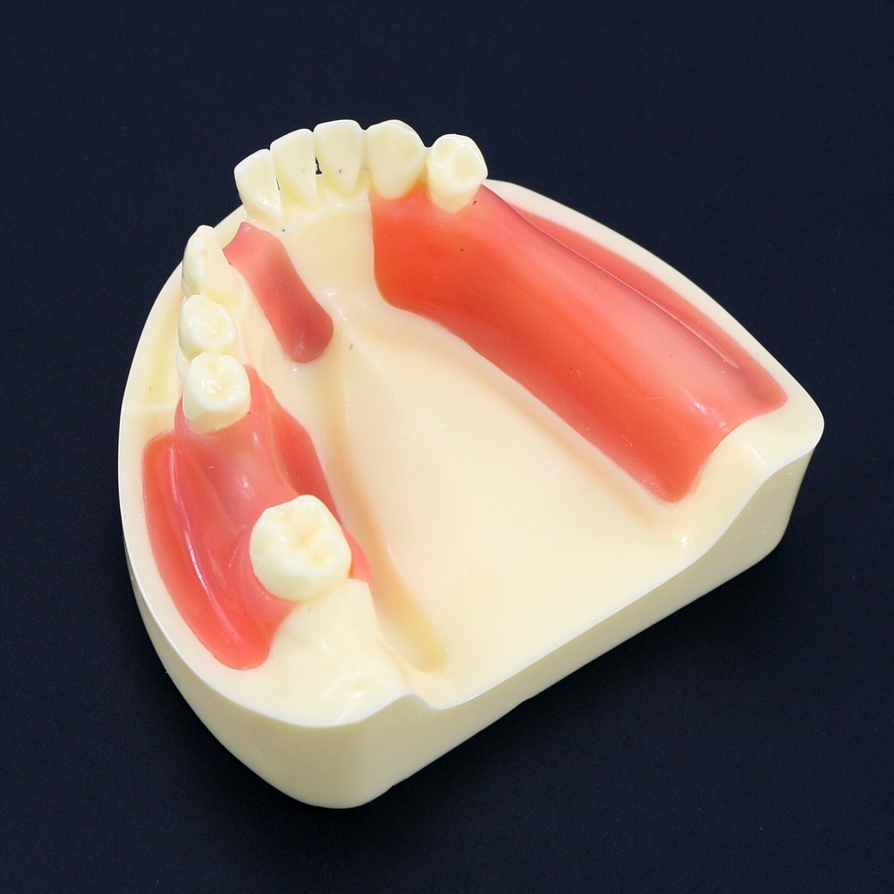 Dental Implant Practice Teeth Model Cutting Suturing Typodont M2004