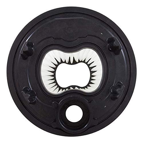 Pentair 27002-0048S Filter Module Replacement Sta-Rite System 2 Modular Pool...