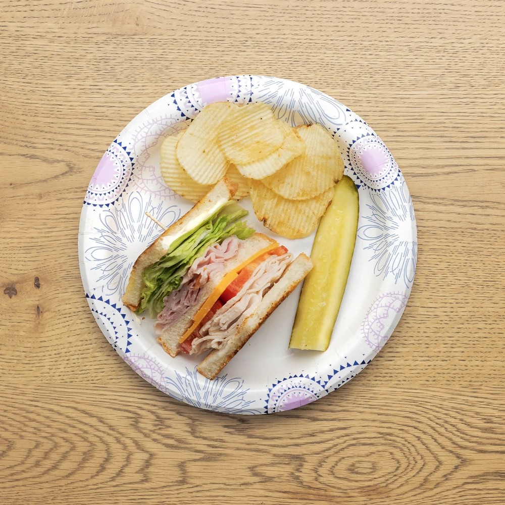 Great Value Disposable Paper Plates, 8.5", 300 Count