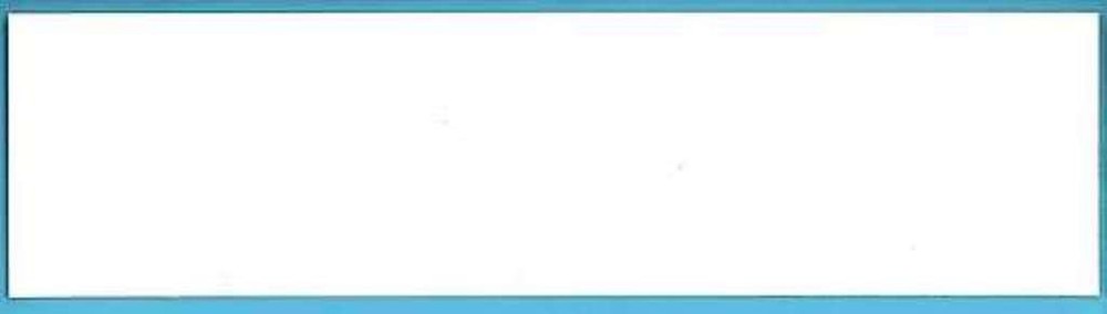 Blank Magnetic Bumper Sticker Holder!