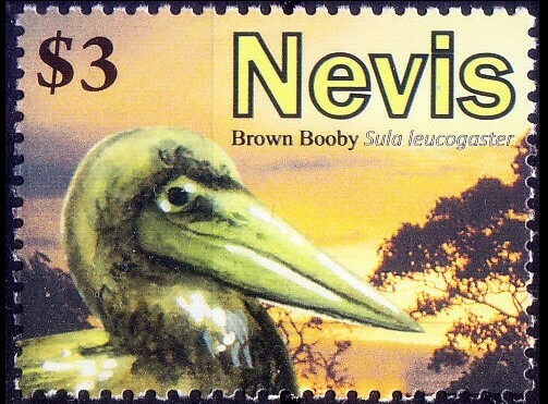 Nevis 2010 MNH, Brown Booby, Water Birds