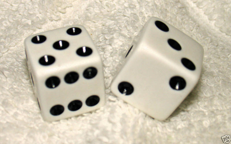 WHITE OPAQUE DICE PAIR